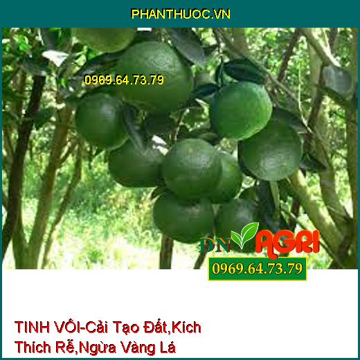 TINH VÔI-Nâng Cao PH Đất, Cải Tạo Đất, Kích Thích Rễ, Ngăn Ngừa Vàng Lá