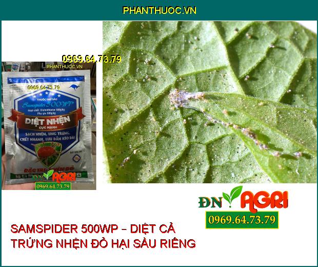 SAMSPIDER 500WP – DIỆT NHỆN ĐỎ CỰC MẠNH, UNG TRỨNG, LƯU DẪN KÉO DÀI