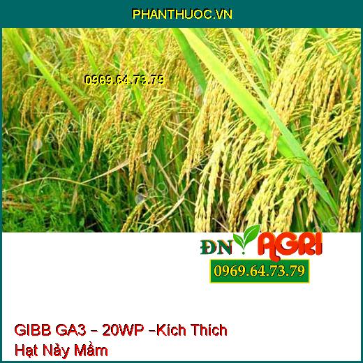 PHÂN BÓN PHỨC HỢP GIBB GA3 – 20WP –Kích Thích Hạt Nảy Mầm Nhanh