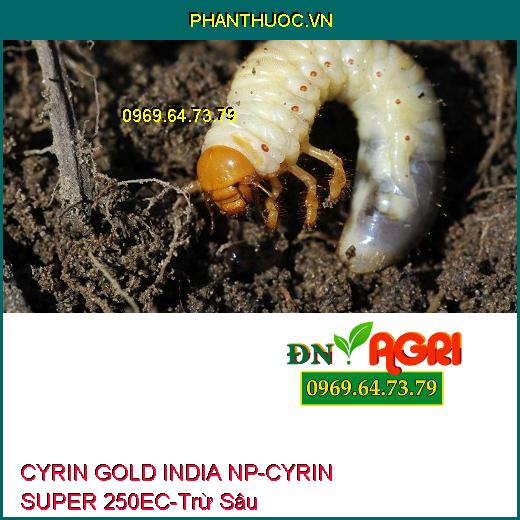 CYRIN GOLD INDIA NP-CYRIN SUPER 250EC- Trừ Sâu, Tuyến Trùng, Sùng Đất