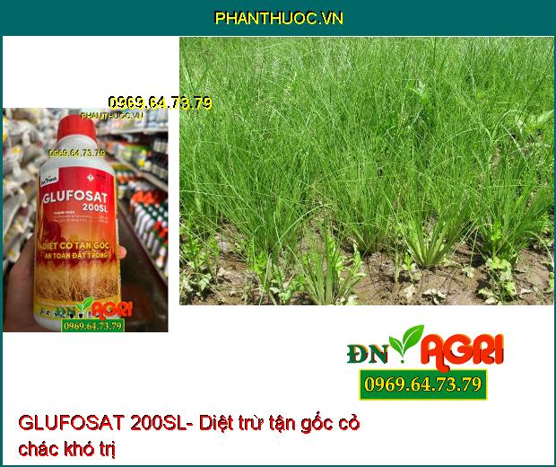 GLUFOSAT 200SL- Diệt Được Nhiều Loại Cỏ, Cỏ Lá Rộng, Cỏ Kháng Thuốc