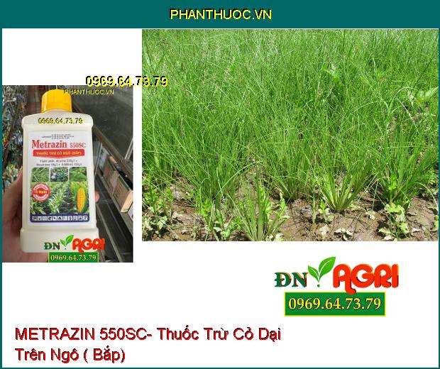 METRAZIN 550SC- Thuốc Trừ Cỏ Dại Trên Ngô ( Bắp)