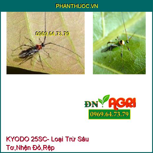 KYODO 25SC- Loại Trừ Sâu Tơ, Nhện Đỏ, Rệp, Sâu Xanh, Bọ Phấn