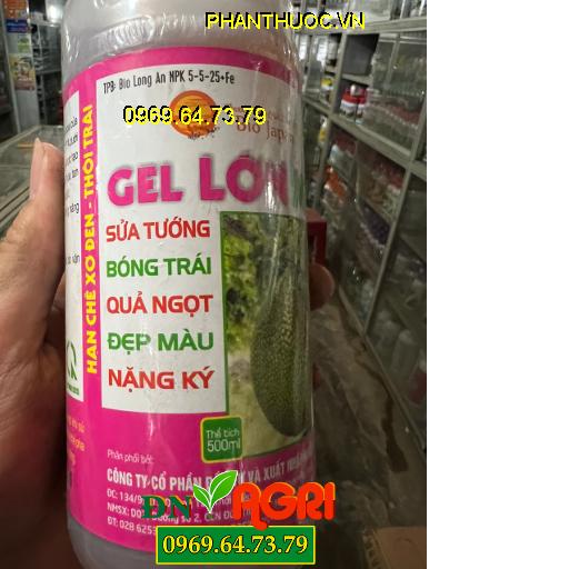 GEL LỚN MÍT- Sửa Tướng, Bóng Trái, Quả Ngọt, Đẹp Màu, Nặng Ký