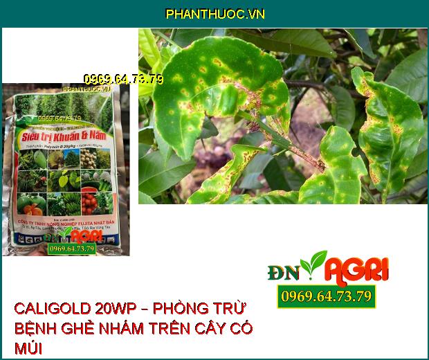 THUỐC TRỪ BỆNH CALIGOLD 20WP – SIÊU TRỊ KHUẨN VÀ NẤM HẠI CÂY TRỒNG 