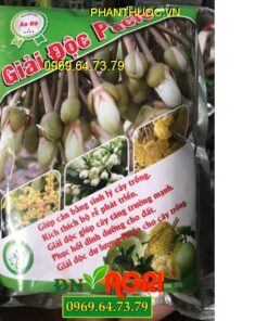 GIẢI ĐỘC PACLO – Kích Thích Bộ Rễ Phát Triển- Phục Hồi Dinh Dưỡng Cho Đất