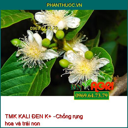 PHÂN ĐA LƯỢNG BÓN LÁ TMK KALI ĐEN K+ – Đòng To Khỏe, To Trái, Đẹp Trái