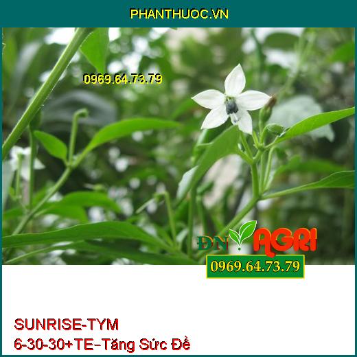 PHÂN BÓN NPK SUNRISE-TYM 6-30-30+TE –Tăng Sức Đề Kháng , Trái Lớn, Đẹp Màu