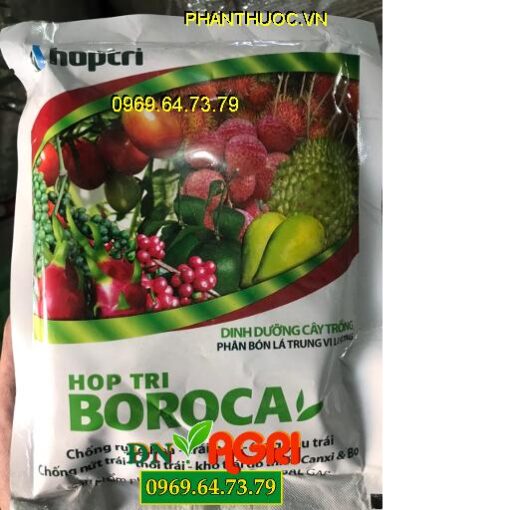 BOROCA – Ngăn Ngừa Rụng Hoa Và Trái Non- Chống Nứt Trái Thối Trái