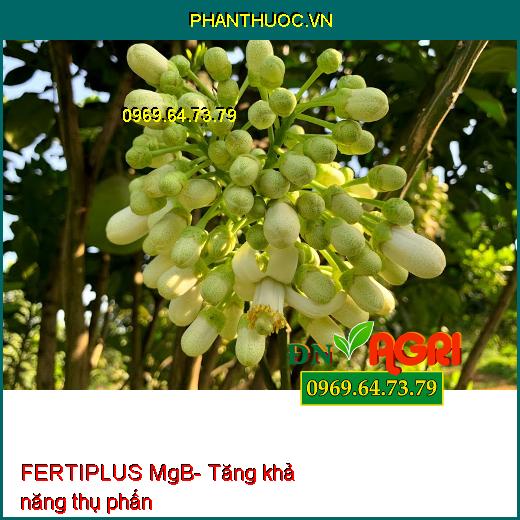 FERTIPLUS MgB- Phân Bón Lá Hữu Cơ Khoáng Tăng Tỷ Lệ Đậu Trái