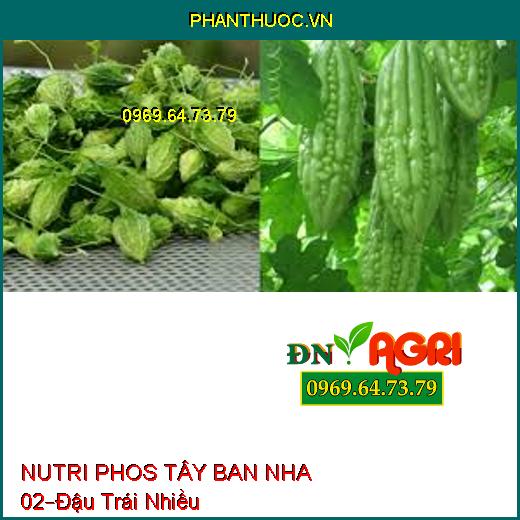 NUTRI PHOS TÂY BAN NHA 02 –Hạn Chế Đen Bông,Đậu Trái Nhiều