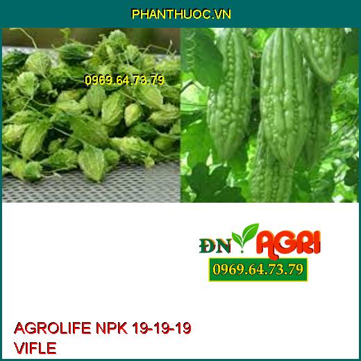 AGROLIFE NPK 19-19-19 VIFLE- Dưỡng Hoa, Nuôi Quả, Tăng Năng Xuất