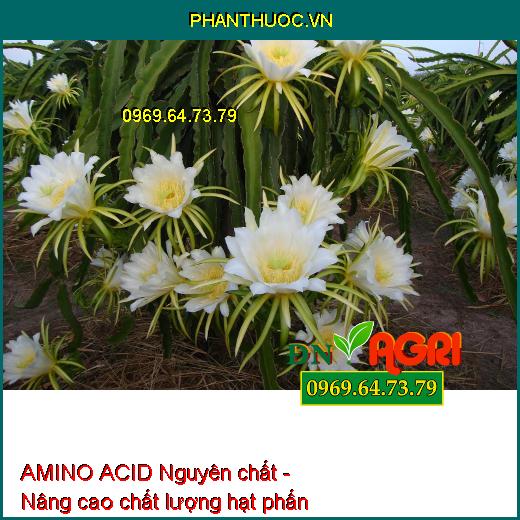 AMINO ACID Nguyên chất - Xanh Cây, Tốt Lá, Ra Hoa, Đậu Trái, Nuôi Trái