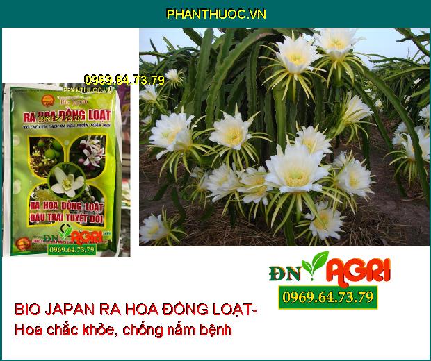 BIO JAPAN RA HOA ĐỒNG LOẠT- Kích Ra Hoa Đồng Loạt, Đậu Trái Cao