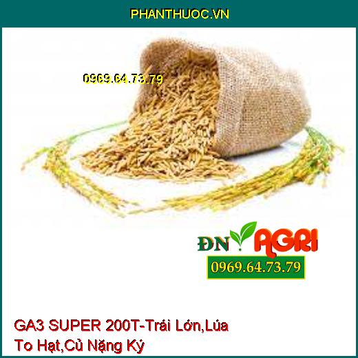 GA3 SUPER 200T- Kích Thích Sinh Trưởng, Trái Lớn Nhanh, Lúa To Hạt, Củ Nặng Ký