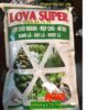 LOVA SUPER – Ra Rễ Mạnh- Đâm Chồi Nhanh – Nở Bụi – Dày Lá – Mượt Lá