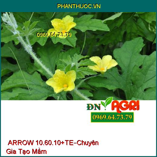 PHÂN BÓN LÁ HỖN HỢP NPK ARROW 10.60.10+TE –Chuyên Gia Tạo Mầm, Hạn Chế Sâu Bệnh