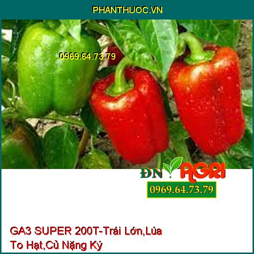 GA3 SUPER 200T- Kích Thích Sinh Trưởng, Trái Lớn Nhanh, Lúa To Hạt, Củ Nặng Ký