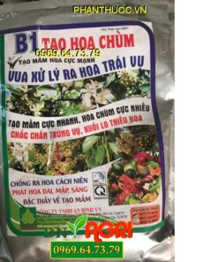 B1 TẠO CHÙM HOA – Vua Xử Lý Ra Hoa Trái Vụ- Tạo Mầm Hoa Cực Nhanh