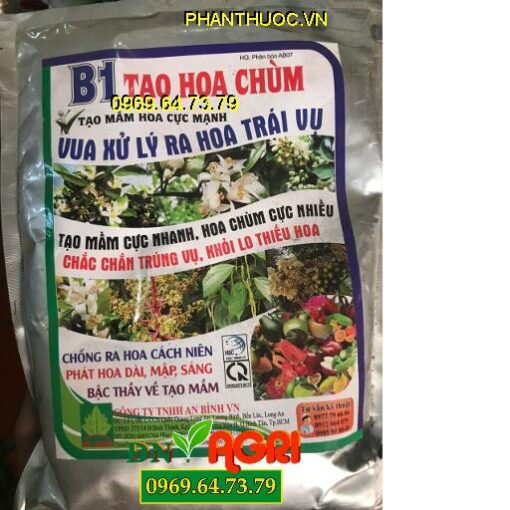 B1 TẠO CHÙM HOA – Vua Xử Lý Ra Hoa Trái Vụ- Tạo Mầm Hoa Cực Nhanh