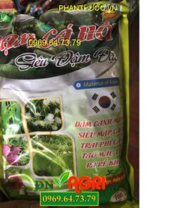 ĐẠM CÁ HỒI – Đâm Cành Siêu Mập – Trái Phì Căng – Ra Rễ Khỏe