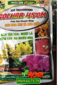 GOLHAR 450M- Giúp Tậu Tán Mượt Lá- Chuyên Dùng Cho Hoa Mai Và Hoa Giấy