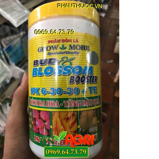 NPK 6-30-30+TE BUD BLOSSOM- Kích Ra Hoa, Đẻ Nhánh Khỏe, Tăng Đậu Trái