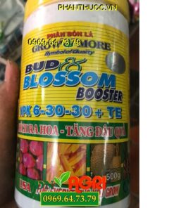 NPK 6-30-30+TE BUD BLOSSOM- Kích Ra Hoa, Đẻ Nhánh Khỏe, Tăng Đậu Trái