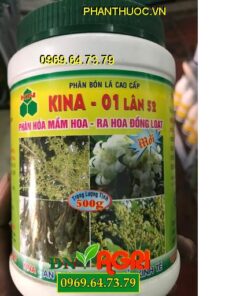 PHÂN BÓN LÁ CAO CẤP KINA – 01 LÂN 52 –Kích Thích Vọt Hoa, Tăng Đậu Trái