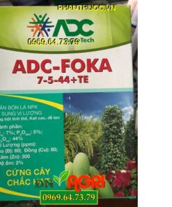 ADC-FOKA 7-5-44+TE -Cứng Cây Chắc Hạt- Trổ Hoa Đều- Vàng Sáng Bóng Đẹp