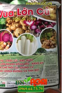 VUA LỚN CỦ -Củ Lớn Nhanh Đồng Đều Nặng Ký-Hạn Chế Sượng Củ