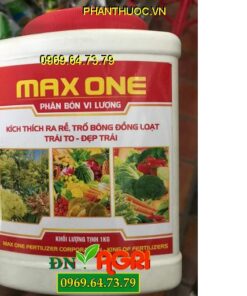 MAX ONE – Kích Thích Ra Rễ – Trổ Bông Đồng Loạt – Trái To Đẹp