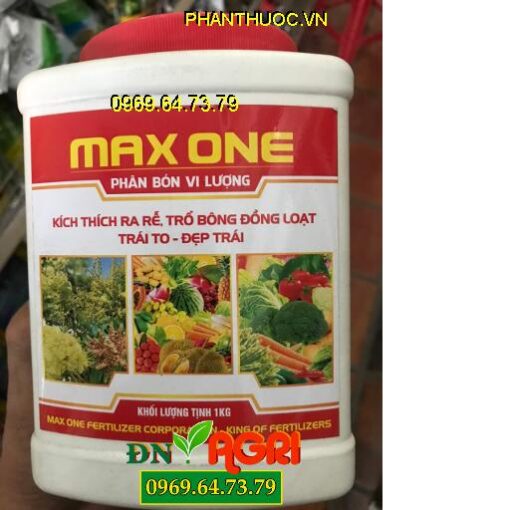 MAX ONE – Kích Thích Ra Rễ – Trổ Bông Đồng Loạt – Trái To Đẹp