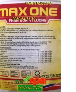 MAX ONE – Kích Thích Ra Rễ – Trổ Bông Đồng Loạt – Trái To Đẹp