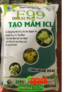 F99 TẠO MẦM ICL – Phân Hóa Mầm Hoa Cực Mạnh – Ra Hoa Đồng Loạt