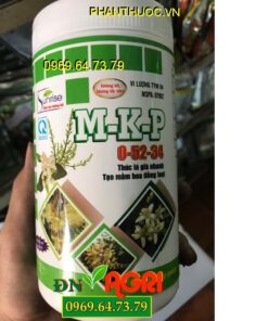 M-K-P 0-52-34 Thúc Lá Già Nhanh-Tạo Mầm Hoa Đồng Loạt-Chắc Bông