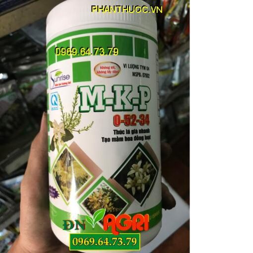 M-K-P 0-52-34 Thúc Lá Già Nhanh-Tạo Mầm Hoa Đồng Loạt-Chắc Bông