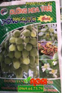 BO 3 TĐ – DƯỠNG HOA TRÁI CHỐNG RỤNG -Dưỡng Hoa Mập -Trái Non Lớn Nhanh