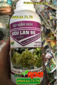 SIÊU LÂN 86 – Kích Tạo Mầm Hoa Cực Nhanh -Bung Bông Mạnh -Phát Hoa Dài