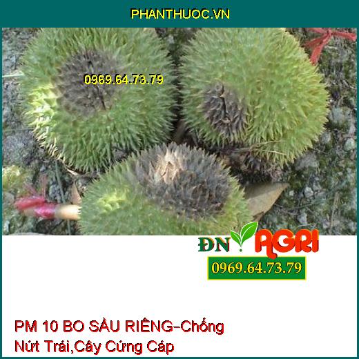 PHÂN BÓN LÁ PM 10 BO SẦU RIÊNG –Chống Nứt Trái, Cây Cứng Cáp, Hạt Chắc Khỏe