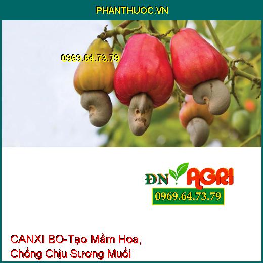 PHÂN BÓN LÁ CANXI BO-Tạo Mầm Hoa, Chống Chịu Sương Muối, Tăng Phẩm Chất Hạt