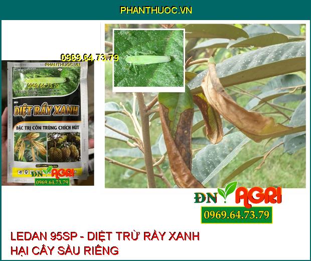 LEDAN 95SP - Diệt Rầy Xanh, Rầy Nâu, Sâu Đục Thân, Côn Trùng Chích Hút