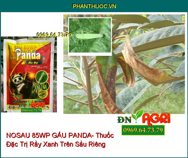 NOSAU 85WP GẤU PANDA- Thuốc Đặc Trị Rầy Xanh Cực Mạnh, Sâu Cuốn Lá