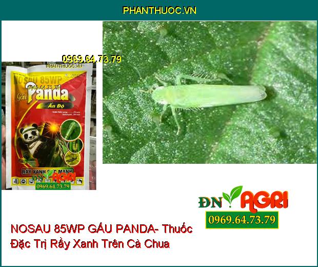 NOSAU 85WP GẤU PANDA- Thuốc Đặc Trị Rầy Xanh Cực Mạnh, Sâu Cuốn Lá