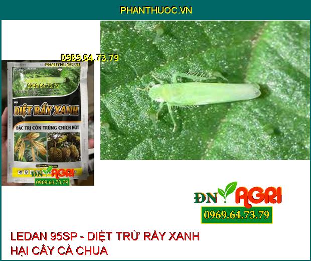 LEDAN 95SP - Diệt Rầy Xanh, Rầy Nâu, Sâu Đục Thân, Côn Trùng Chích Hút