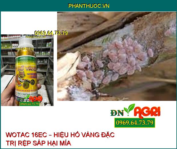 WOTAC 16EC – HIỆU HỔ VÀNG ĐẶC TRỊ RẦY, RỆP VÀ NHIỀU LOẠI NHỆN KHÁC