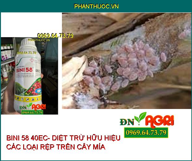 BINI 58 40EC- DIỆT TRỪ HỮU HIỆU CÁC LOẠI RỆP, RỆP MÍA ,RỆP CÀ PHÊ