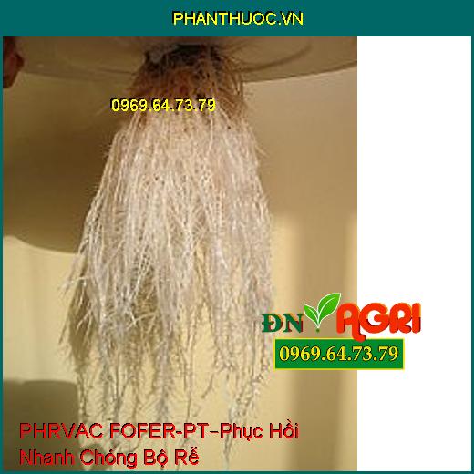 PHÂN BÓN LÁ RVAC FOFER-PT –Phục Hồi Nhanh Chóng Bộ Rễ, Mau Ra Rễ Non