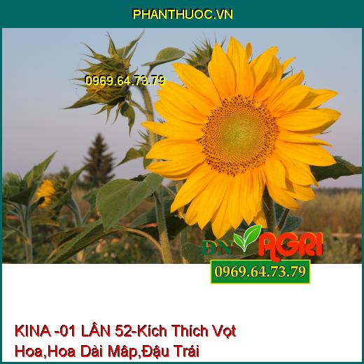 PHÂN BÓN LÁ CAO CẤP KINA – 01 LÂN 52 –Kích Thích Vọt Hoa, Hoa Dài Mâp, Tăng Đậu Trái