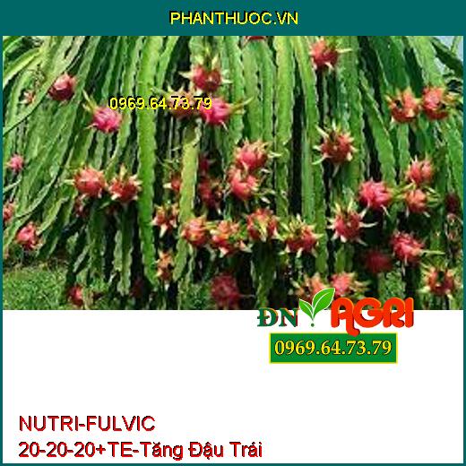 PHÂN BÓN HỖN HỢP NUTRI – FULVIC 20-20-20 + TE –Tăng Đậu Trái, Phục Hồi Cây